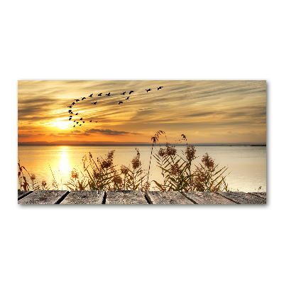 Bild auf glas Pier am See