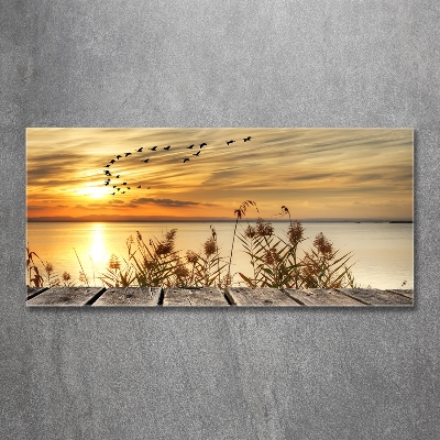 Bild auf glas Pier am See