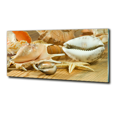 Glasbild Muscheln auf Holz