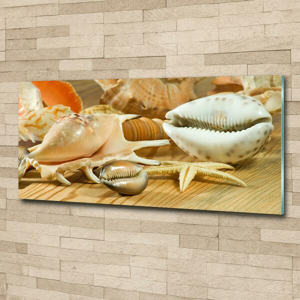 Glasbild Muscheln auf Holz