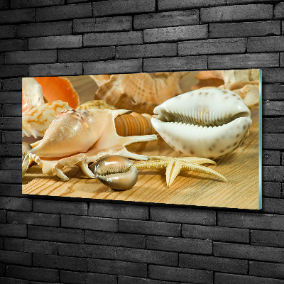 Glasbild Muscheln auf Holz