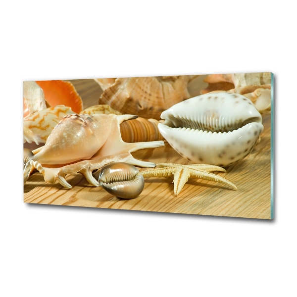 Glasbild Muscheln auf Holz