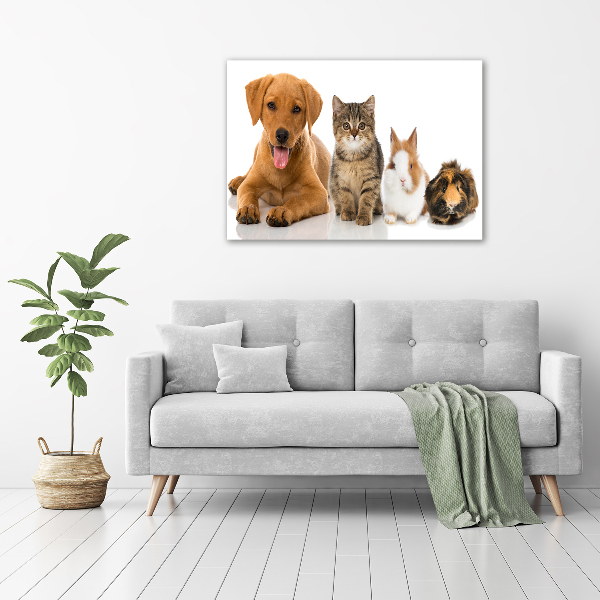 Foto glasbild Hund und Katze