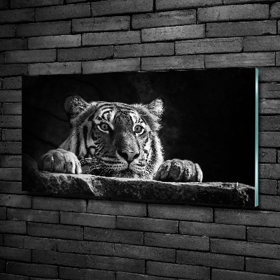 Glasbild Tiger