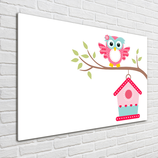 Glasbild Eule auf einem Ast