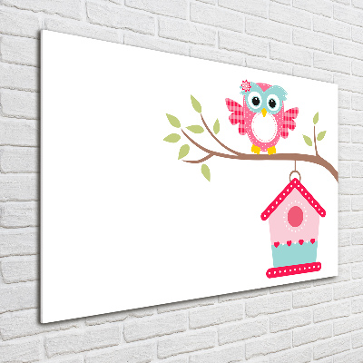 Glasbild Eule auf einem Ast
