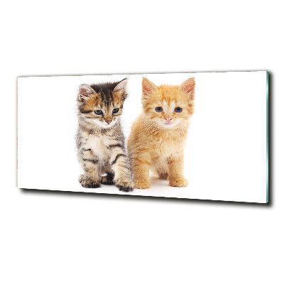 Foto glasbild Braune und rote Katze