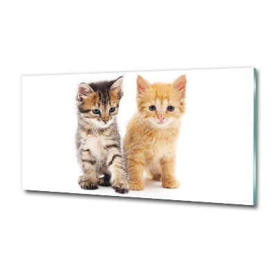 Foto glasbild Braune und rote Katze