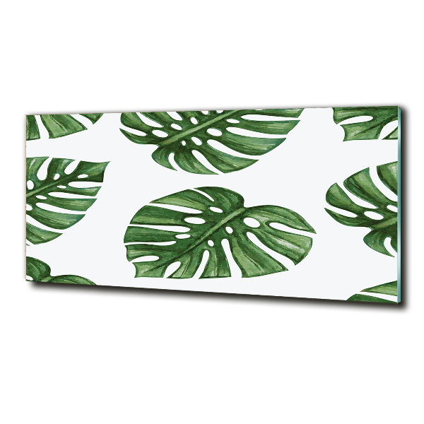 Foto glasbild Monstera