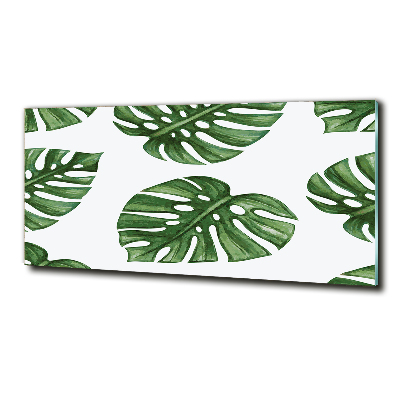 Foto glasbild Monstera