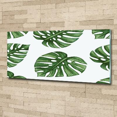 Foto glasbild Monstera