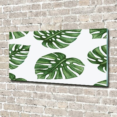 Foto glasbild Monstera