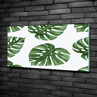 Foto glasbild Monstera