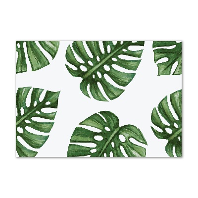 Foto glasbild Monstera