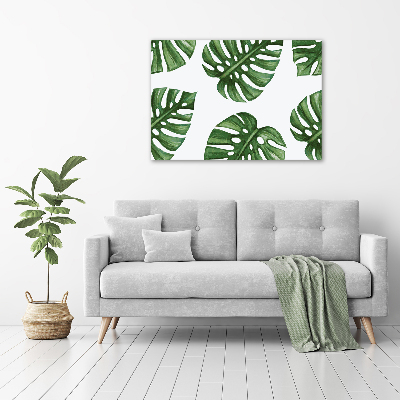 Foto glasbild Monstera