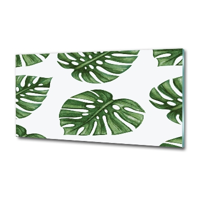 Foto glasbild Monstera