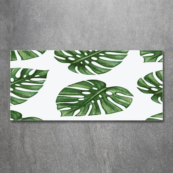 Foto glasbild Monstera