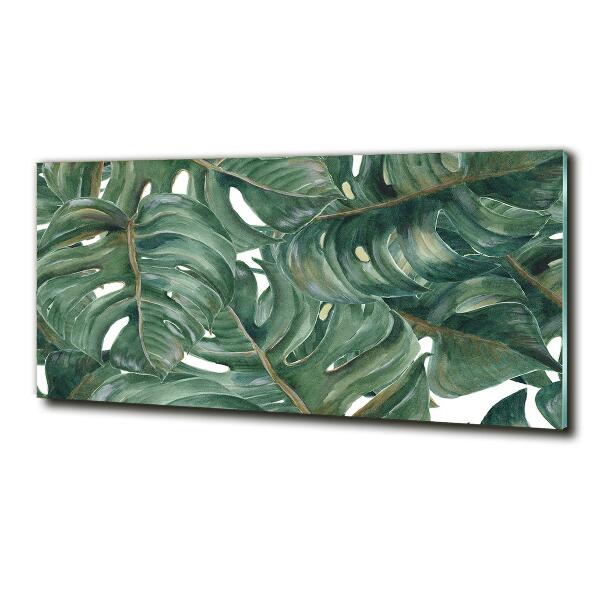 Glasbild Monstera