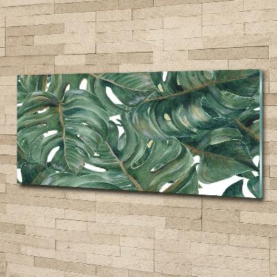 Glasbild Monstera