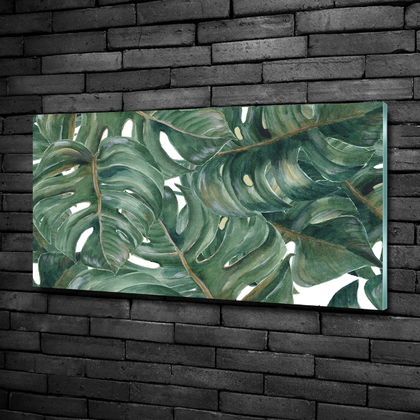 Glasbild Monstera