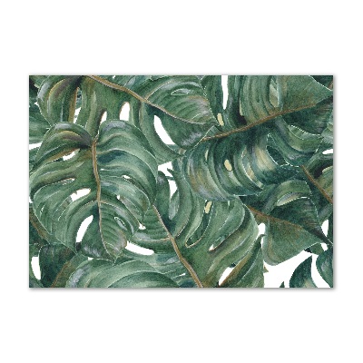 Glasbild Monstera