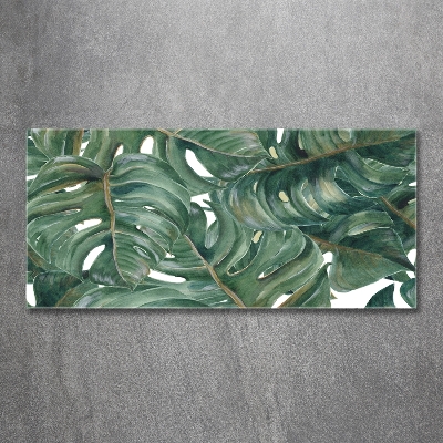 Glasbild Monstera