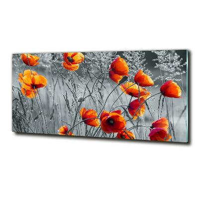 Foto glasbild Feldmohn