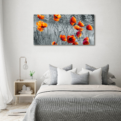 Foto glasbild Feldmohn