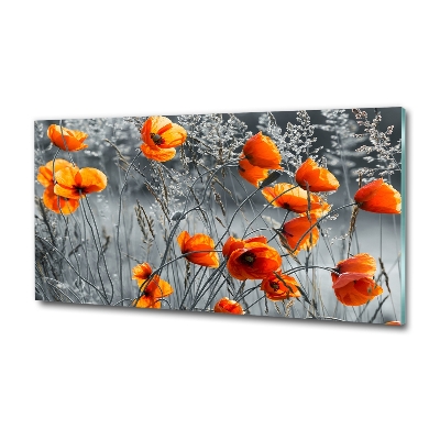 Bild auf glas Feldmohn
