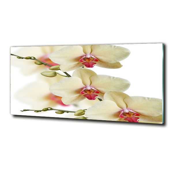 Foto glasbild Orchidee