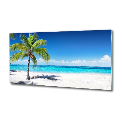 Bild auf glas Tropischer Strand