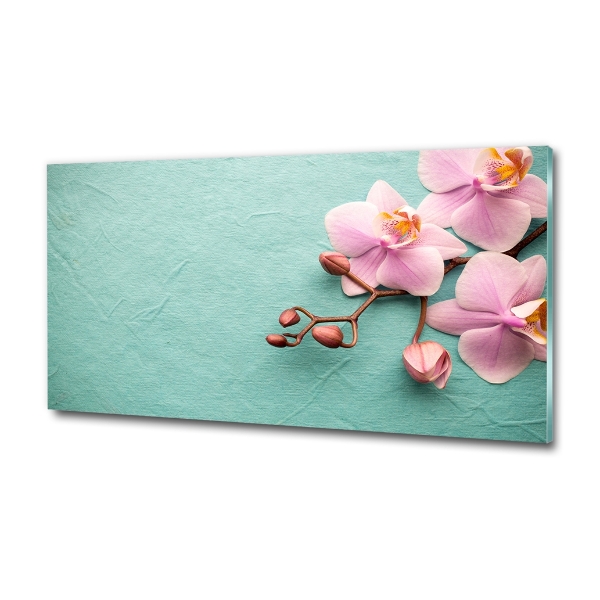 Glasbild Orchidee
