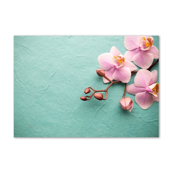 Glasbild Orchidee