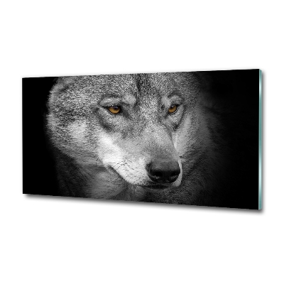 Foto glasbild Wolf