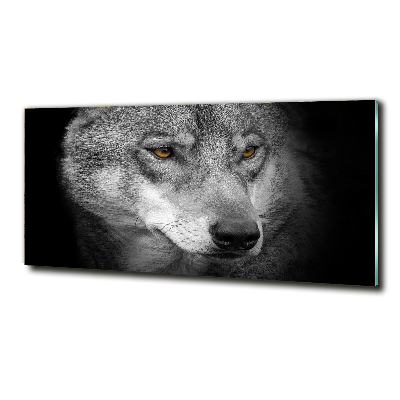 Foto glasbild Wolf