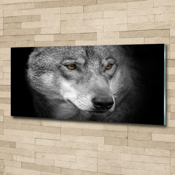 Foto glasbild Wolf