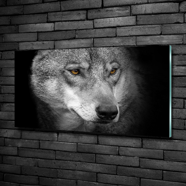 Foto glasbild Wolf