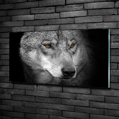 Foto glasbild Wolf