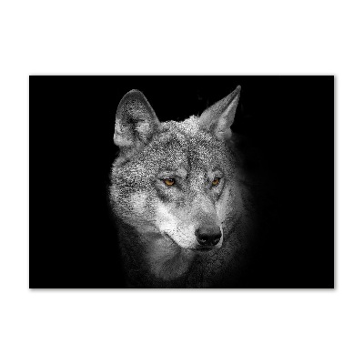 Foto glasbild Wolf