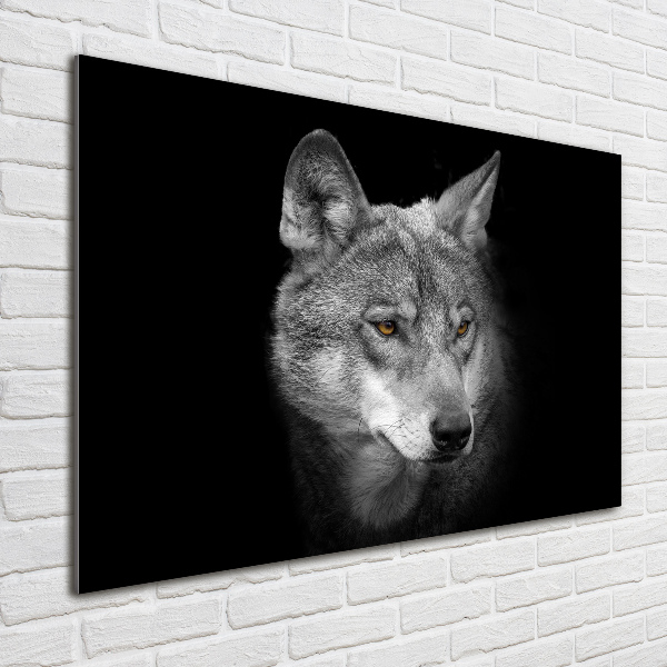 Foto glasbild Wolf