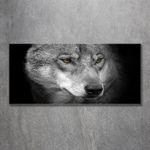 Foto glasbild Wolf