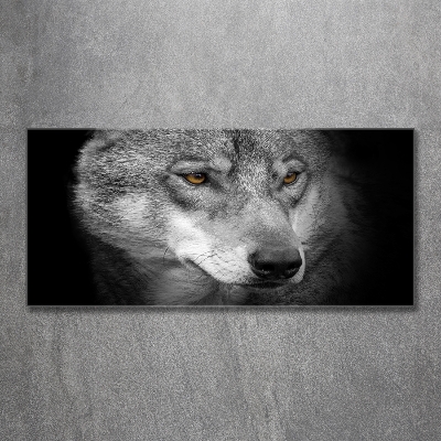 Foto glasbild Wolf
