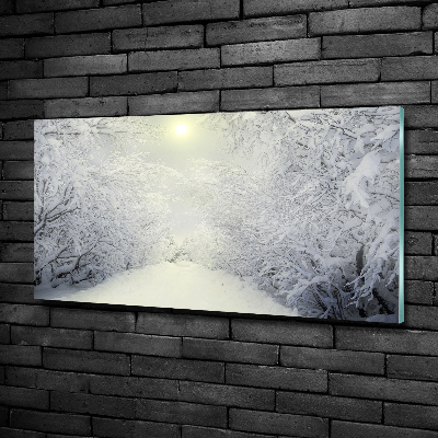 Glasbild Wunderschöner Wald im Winter