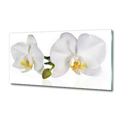 Foto glasbild Orchidee