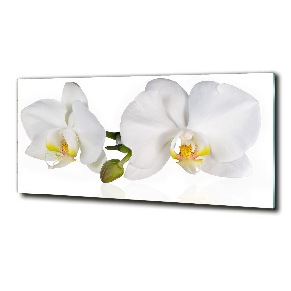 Foto glasbild Orchidee