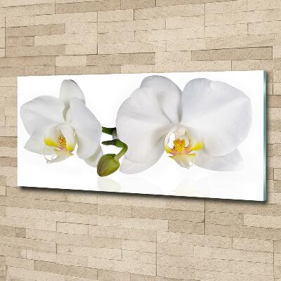Foto glasbild Orchidee