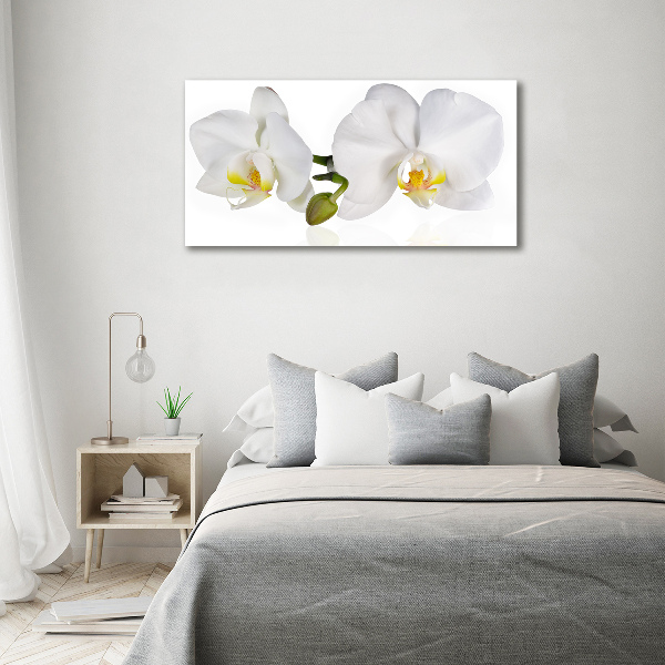 Foto glasbild Orchidee