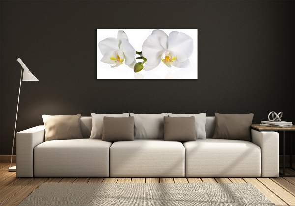 Foto glasbild Orchidee
