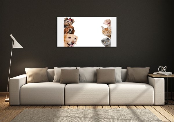 Bild auf glas Hunde und Katzen