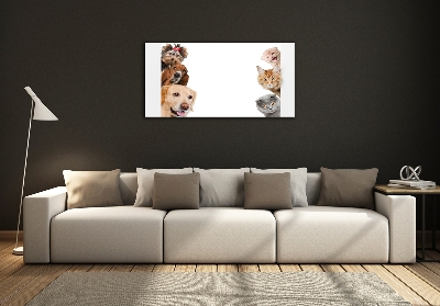 Bild auf glas Hunde und Katzen